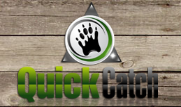 Jacksonville Animal Wildlife Removal Company : Quick Catch