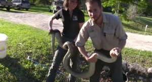 Professional Snake Removal Team
