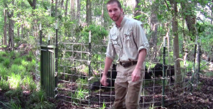 Feral Hog Removal Program