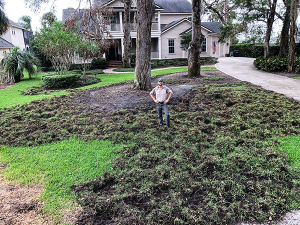 Wild Pig Damage in Yard