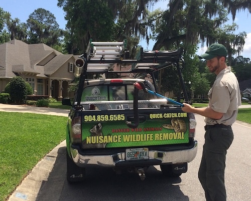 quick catch wildlife removal and pest control company in ponte vedra florida